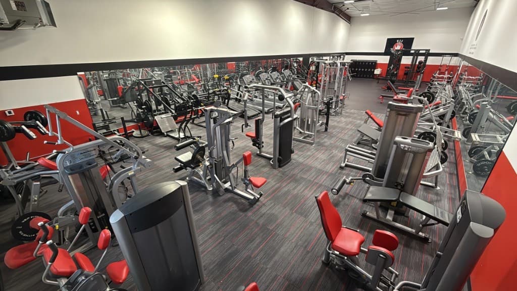 Selectorized machines and cardio equipment in the MA5 gym