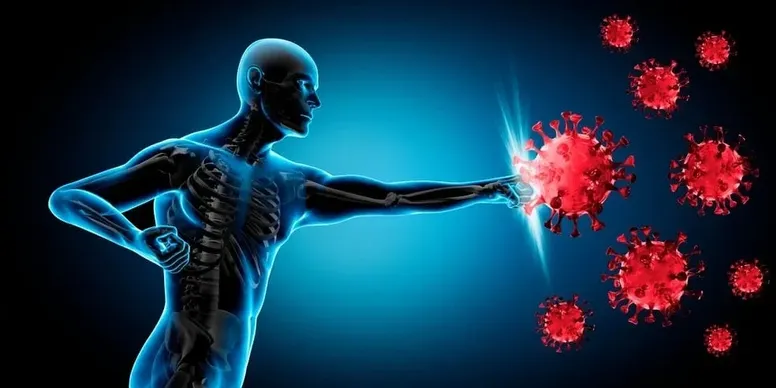 Illustration representing immune system support